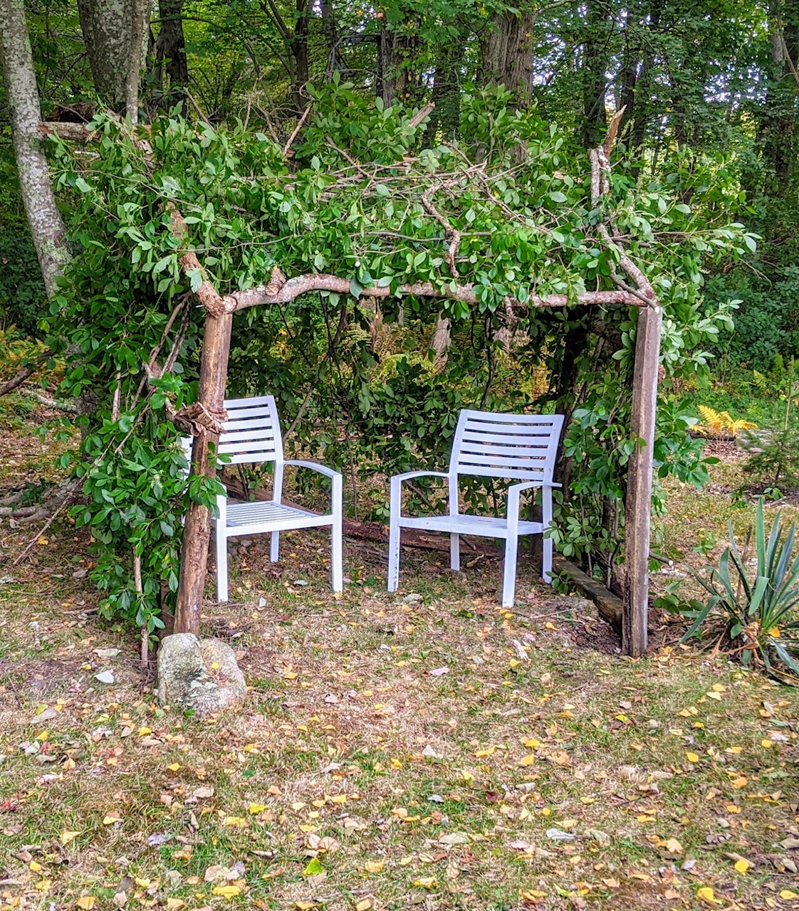 Sukkah 1