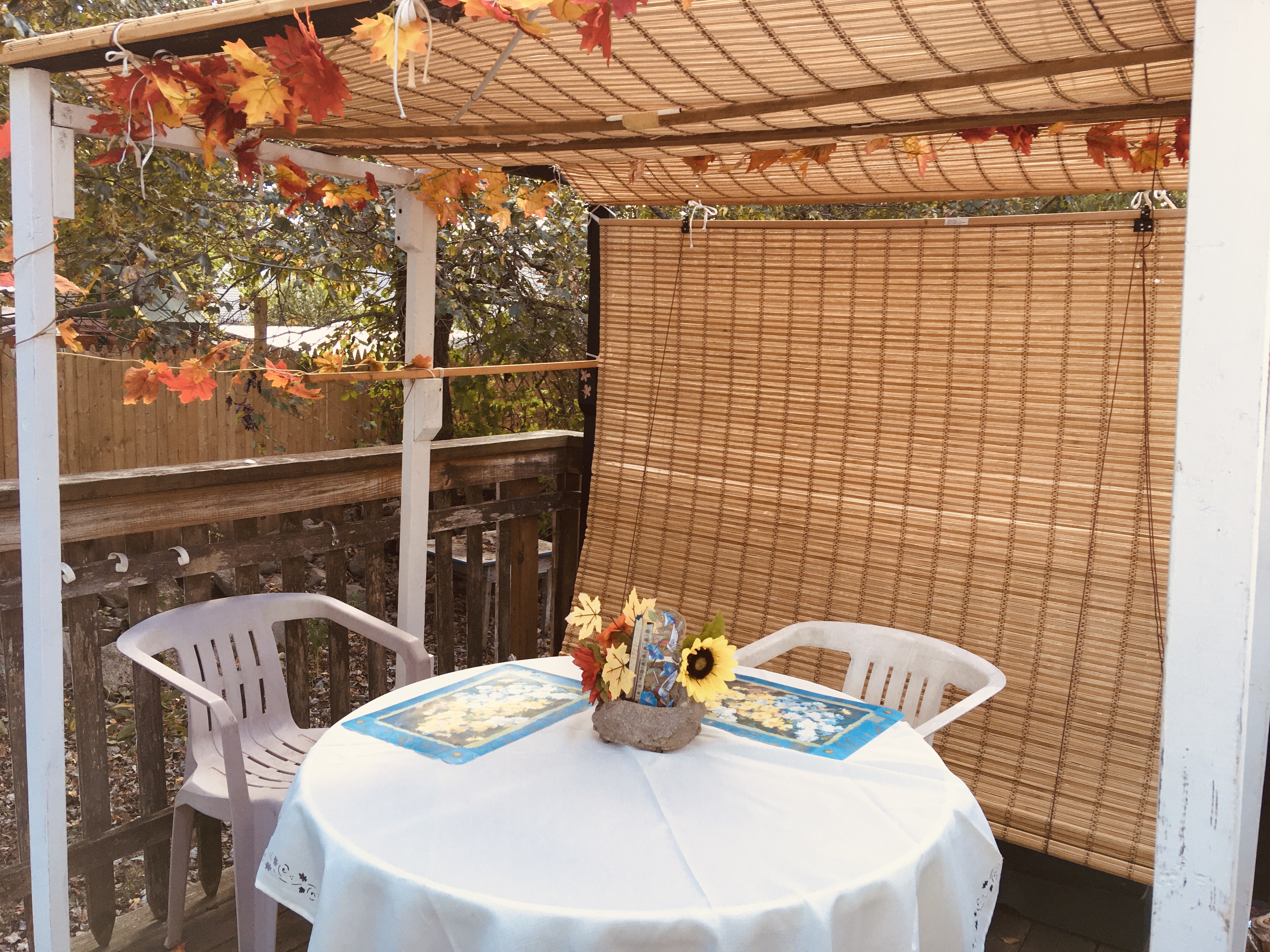 Sukkah 1