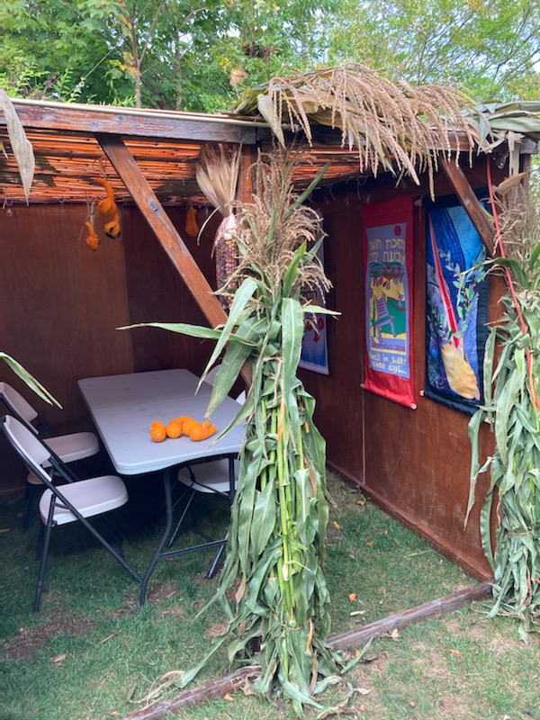 Sukkah 2