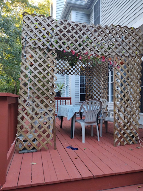 Sukkah 1