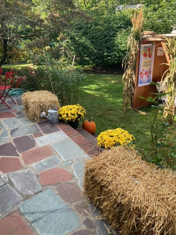 Sukkah 12