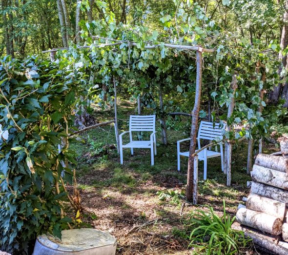 Sukkah 1